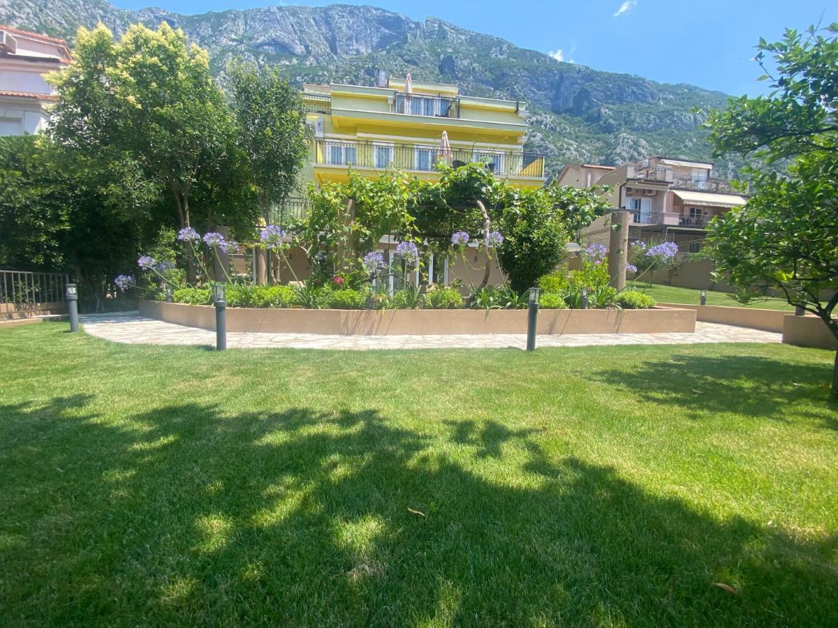 2Montenegro Mimoza Apartments ドブロタ エクステリア 写真