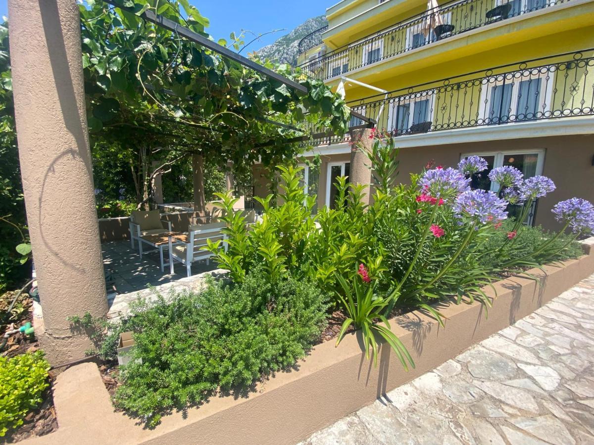 2Montenegro Mimoza Apartments ドブロタ エクステリア 写真